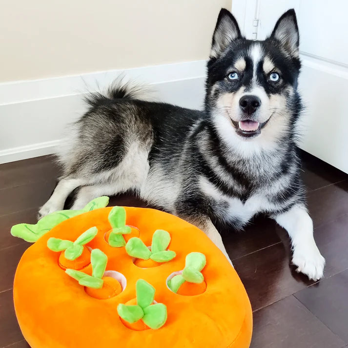 Interactive Carrot Pulling Plush Pet Toy
