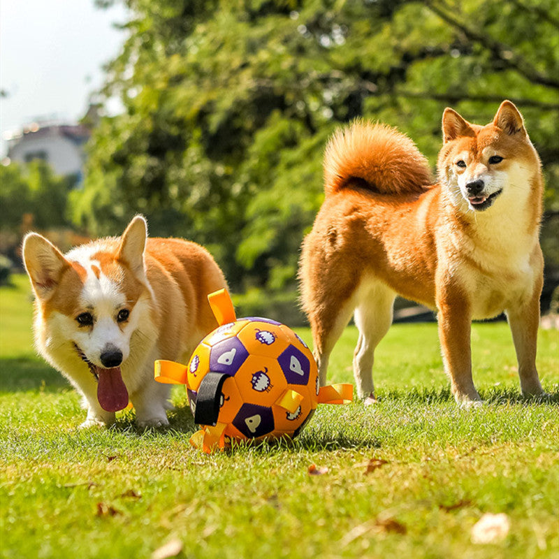 Outdoor Pet Interactive Football Toy