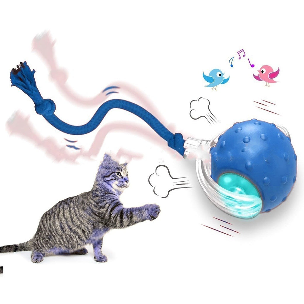 Interactive Super Drive Cat Rolling Tail Ball