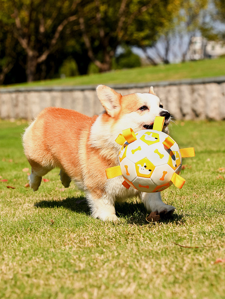 Outdoor Pet Interactive Football Toy