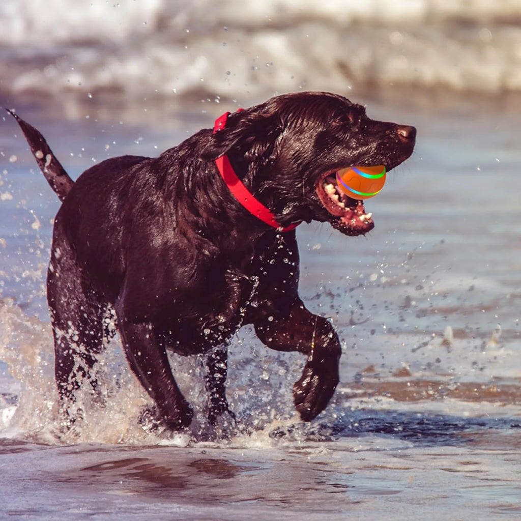 Intelligent Self Rotating Cat Wicked Ball Toy