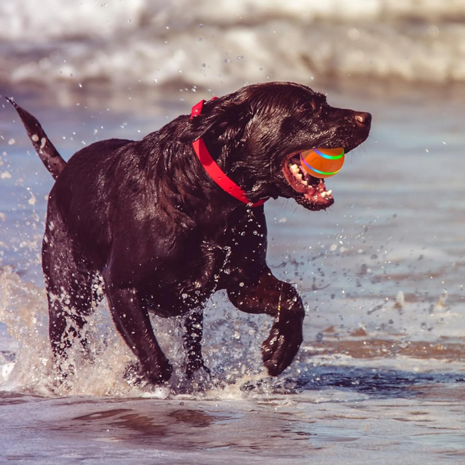 Intelligent Self Rotating Cat Wicked Ball Toy