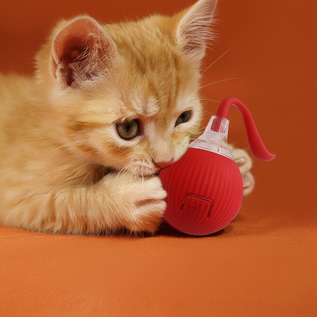 Interactive Super Drive Cat Rolling Tail Ball